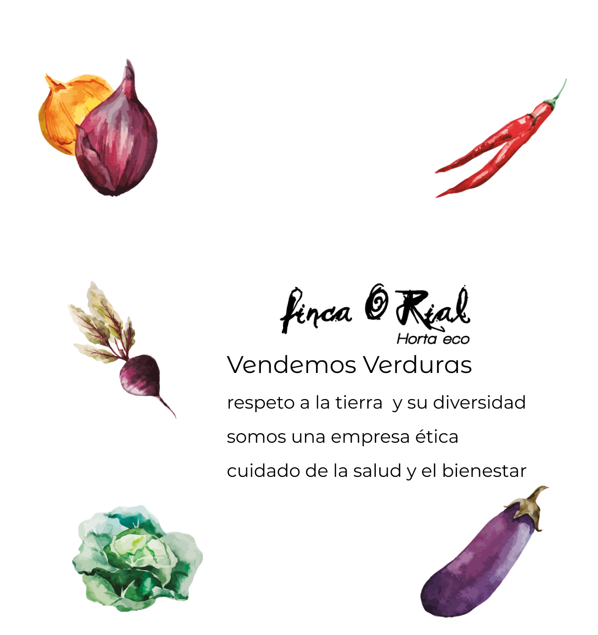 Finca O Rial brand logo — watercolour illustration