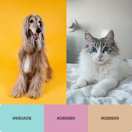 Perrfect Paws color palette