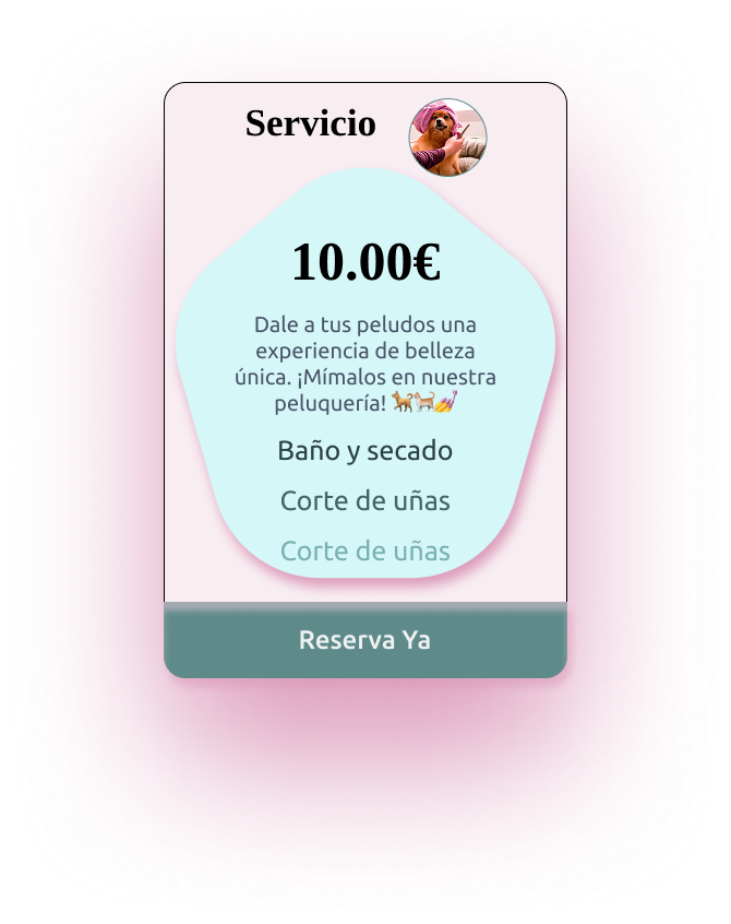 Perrfect Paws service and pricing cards